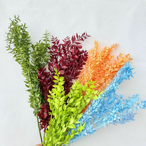 <span class=keywords><strong>Hojas</strong></span> de Ruscus Preservadas y Blanqueadas, Material para Decoración del Hogar, Manualidades, Arreglos Florales para Bodas/Fiestas - Product Image 5