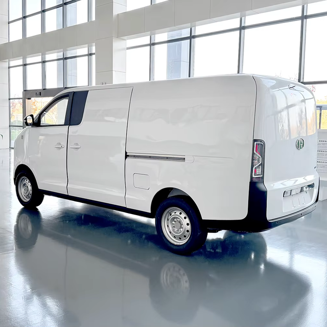CE New Mini Van Cars Delivery Cargo Van 13.5T New Energy Voiture Electric Truck Mini Electric Car Adult
