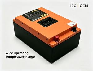 64V 50Ah E-Dreirad-Akkupack, Leichtgewichtiger Lithium-Akku für 3-Rad-Fahrzeuge, IEC-Zertifiziert, Direkt vom Hersteller - Product Image 4