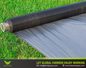 Películas de acolchado agrícola de LDPE de fábrica, estabilizadas con protección UV, para control de la humedad y retención de humedad en hortalizas y frutas. - Product Image 2