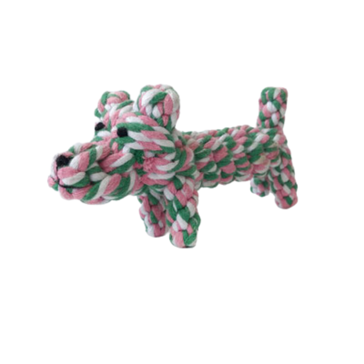 Colorful Dog