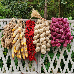 Lanière en plastique avec pendentifs <span class=keywords><strong>d</strong></span>écoratifs en forme de légumes artificiels (<span class=keywords><strong>ail</strong></span>, poivre, cacahuète) - Product Image 1