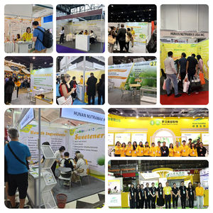 Hoge Kwaliteit Groothandelsprijs Non-Gmo Man Power Poeder 10:1 Damiana <span class=keywords><strong>Extract</strong></span> - Product Image 6