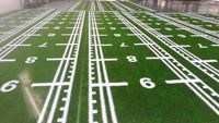 Gazon synthétique personnalisé, tapis de sport, tapis fonctionnel, studio de gym, pelouse artificielle pour salle de classe privée, piste de course, gazon artificiel
