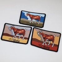 Parches para planchar con logotipo de ropa, sombreros tejidos de marca personalizados