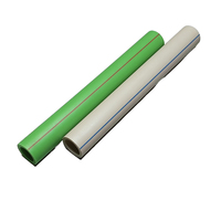 Usine professionnelle directe Ppr tuyaux d'eau chaude tuyau de thermofusion en plastique 1/2 tuyau Ppr