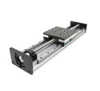 Sistema de Actuador Lineal Eléctrico de Precisión Personalizado con Guía Cruzada GX40, Módulo de Movimiento con Motor Paso a Paso y Husillo de Bolas de 500mm YQY
