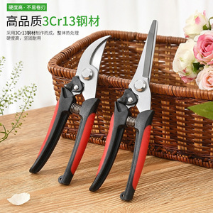 Sécateur de taille Pinheng en acier inoxydable avec poignée rouge, outil de jardinage manuel pour fleurs, arbres fruitiers et horticulture - Product Image 1