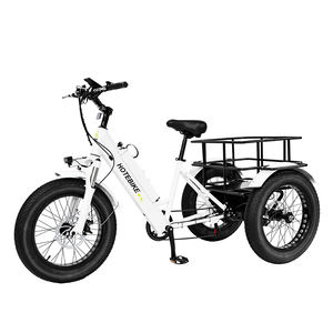 Tricycle électrique 750W pour personnes à mobilité réduite, E-Trike 20 pouces, 3 roues, pour adultes, entrepôt UE, vélo cargo électrique - Product Image 3
