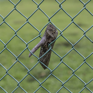 Grillage de maillon de chaîne cyclone de 3mm de diamètre personnalisé de haute qualité pour les terrains de jeux scolaires fer soudé galvanisé à chaud haut - Product Image 6