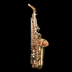 Saxophone alto professionnel de qualité supérieure, fabriqué en Chine par un fabricant OEM, artisanal (finition laquée or), instrument à vent à vendre - Product Image 1