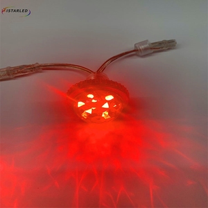 Luci LED Pixel a Punto da 35MM per Giostre, Tema Cristallo, DC24V, per Luna Park e Parchi Divertimento, Colore RGB SPI Dream Color UCS2903 - Product Image 6