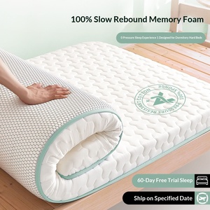 Matelas simple en mousse <span class=keywords><strong>à</strong></span> mémoire de forme pour étudiant en dortoir, housse de matelas, mobilier de maison, chambre <span class=keywords><strong>à</strong></span> coucher, tatami, appartement locatif, coussin spécial ultra-doux - Product Image 5