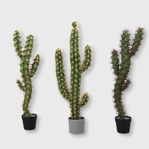 Molde abatible 1:1 de <span class=keywords><strong>cactus</strong></span> <span class=keywords><strong>artificial</strong></span> al por mayor del fabricante con un toque realista y natural - Product Image 3