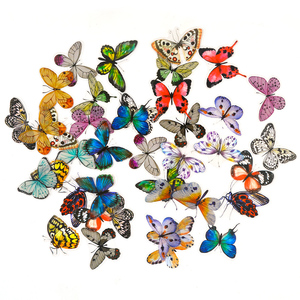 DM493-rellenos natrales de flores secas prensadas, hojas de plantas, espécimen, pegatina de mariposa, arte de resina artesanal para Decoración - Product Image 1