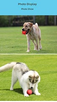 Balle à mâcher indestructible pour chien en caoutchouc rouge TPR, jouet interactif flottant résistant aux morsures pour l'entraînement aquatique et le nettoyage des dents molaires