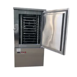 Industrial Liquid Nitrogen Cooling System Instant freezer IQF small blast freezer