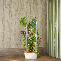 Kit de jardin intérieur hydroponique électronique de luxe pour maison intelligente 12 pots en plastique plateau grande feuille de sol fleur hydroponique microverte