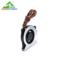 Mini ventilateur turbo 5008 DC 5V à faible bruit, utilisé sur l'atomiseur portatif, petit module de refroidissement