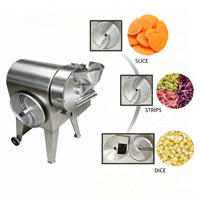 Machine à découper les légumes multifonctionnelle, trancheuse commerciale de pommes de terre et de carottes, coupe-juliennes, machine à couper en cubes, moteur en acier inoxydable