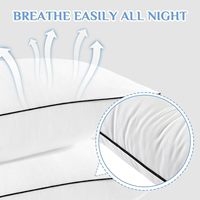 Oreillers de collection hôtelière 2 pièces taille Queen, moelleux et offrant un soutien optimal, garnissage en microfibre alternative