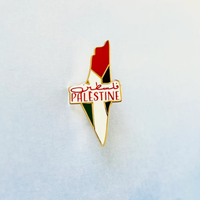 Pendentif délicat carte de Palestine, badge, épingle, broche drapeau palestinien en acier inoxydable plaqué or 18 carats
