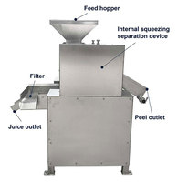 Industriële Kleine Commerciële Gebruik Fruit Juicer Extractor Dubbele Roller Langzame Passievrucht Citrus Sinaasappelsap Maken Machine