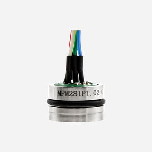 マイクロセンサーMPM281PT工業用プロセス制御用圧力および温度センサー - Product Image 2