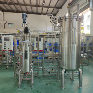 Bioreattore Industriale a Lotti Alimentati da 20000l, 30000l, 35000l Litri - Product Image 4
