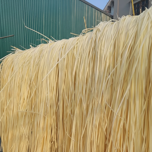 Peel de rotin d'exportation de Seeling supérieur avec le prix concurrentiel - Product Image 1