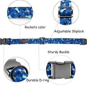 Bobo Rainbow Dog-Collier en métal réglable et durable pour petits et grands chiens - Product Image 2