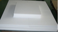 Pièces en plastique d'industrie de feuille perforée de PTFE fraisées par CNC résistantes à la chaleur pour la feuille de PTFE moulée par téflonnage à haute température
