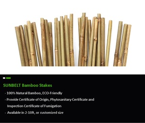 عصي قصب الخيزران للبيع بمقاسات 3M و 4M أو حسب الطلب - Product Image 4