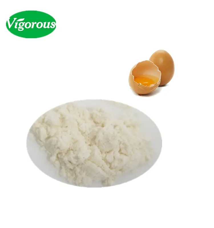 Poudre de protéine albumine de blanc d'œuf séchée biologique en gros Additifs alimentaires en poudre