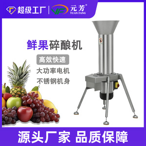 Trituradora de Frutas Comercial de Acero Inoxidable, Exprimidor de Gran Capacidad, Máquina para Hacer Puré de Frutas Frescas - Product Image 4