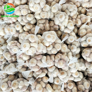 <span class=keywords><strong>Ail</strong></span> frais de haute qualité, sans bulbes pourris, provenant de fermes chinoises, durée de conservation de 12 mois, grande quantité disponible pour la Chine - Product Image 6