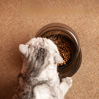 Bol de nourriture pour animaux de compagnie incliné personnalisé, anti-déversement, pour chat et chien, protection du cou, bol antidérapant, accessoires pour animaux de compagnie