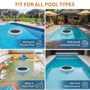 Ioniseur solaire pour piscine à technologie Eco Clean, électrodes <span class=keywords><strong>en</strong></span> cuivre, désinfectant, accessoires pour piscines extérieures, fourni par l'usine - Product Image 5