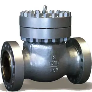 Type Swing Check Valve BS Cast Iron Swing Check Valve With Lever Weight