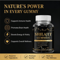 Gummies de Shilajit avec huile de nigelle, Ashwagandha et mousse de mer, favorisent la santé immunitaire et cérébrale, stimulent l'énergie, 60 unités