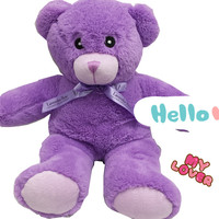 Jouet en peluche parfumé à la lavande, personnalisé, chaud, micro-ondes, Animal en peluche de 20CM, ours en peluche violet de 30CM