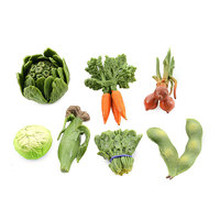 Juego de Modelos de Frutas y Verduras de Plástico Sólido, Juguete Educativo de Aprendizaje Temprano para Niños de 14 Años, Superventas
