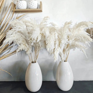 Hierba blanca de Pampas, hierba de caña seca esponjosa para decoraciones de bodas y festivales, Pampas de lujo salvajes verdaderamente naturales para graduación - Product Image 3