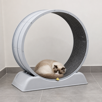 Jouet interactif pour chat : Roue d'exercice silencieuse, structure d'escalade, roue de course solaire, compteur de tours, en PP+TPR