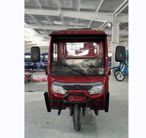 Tricycle Trike Three Wheeler 3 Wheel Bike With 2000W Motor and Delivery Closed - Product Image 1