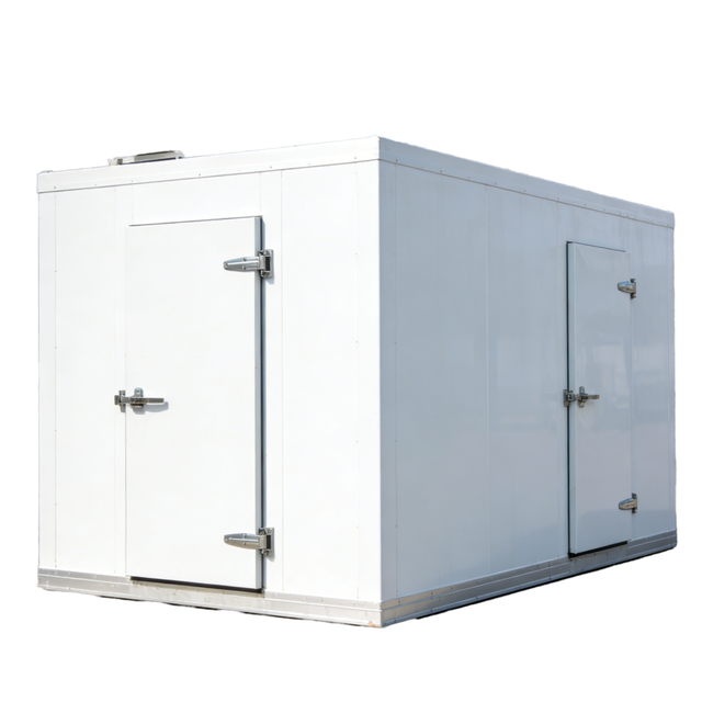 Tianqiao Air Cooling Polyurethane Insulation R-410A Refrigerant Display Swing/Sliding Door Upright Freezer Cold Room Walk-In