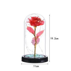 Beast Rose In Glass Dome Wooden Base Valentine's Gifts LED Rose Lamps