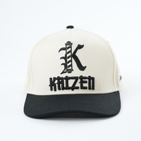 Casquettes de baseball structurées avec logo personnalisé Chapeaux de baseball à panneau dur 5 panneaux Tissu en coton avec broderie