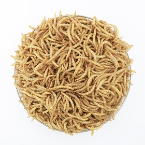 Bioforte OEM Gusanos de harina amarillos orgánicos secos, altos en proteínas, sin olor, esterilizados por microondas, sin cereales, alimento para pollos, patos, aves y mascotas - Product Image 1