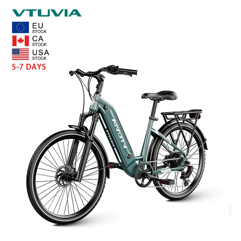 USA EU Canada Warehouse Stock 2023 New Cheap 250w 500w Torque Sensor Motor 2 Sets Electric City Bike Bicycle Ebike